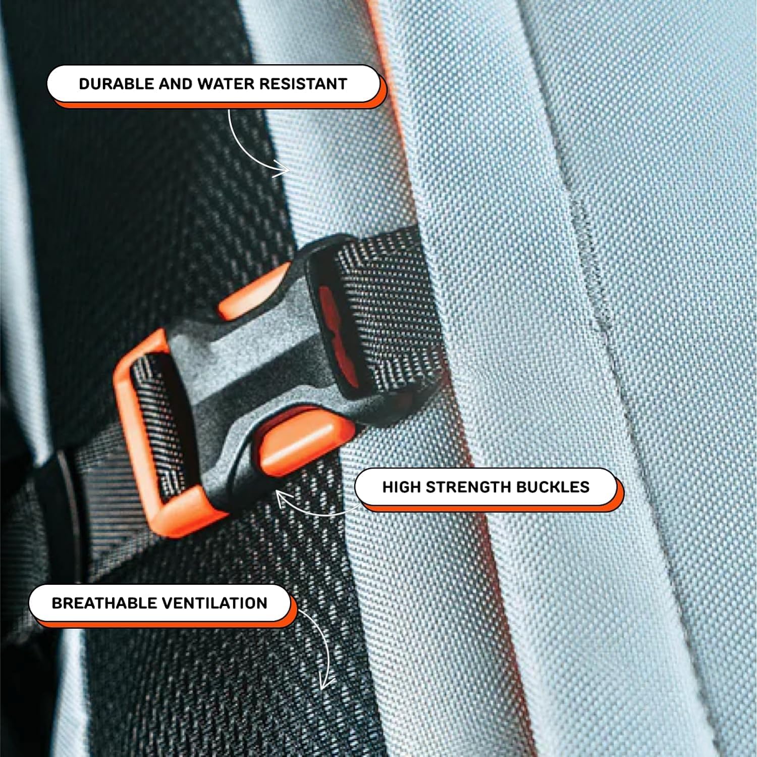 Little Chonk texture et détails réfléchissants pour visibilité améliorée
