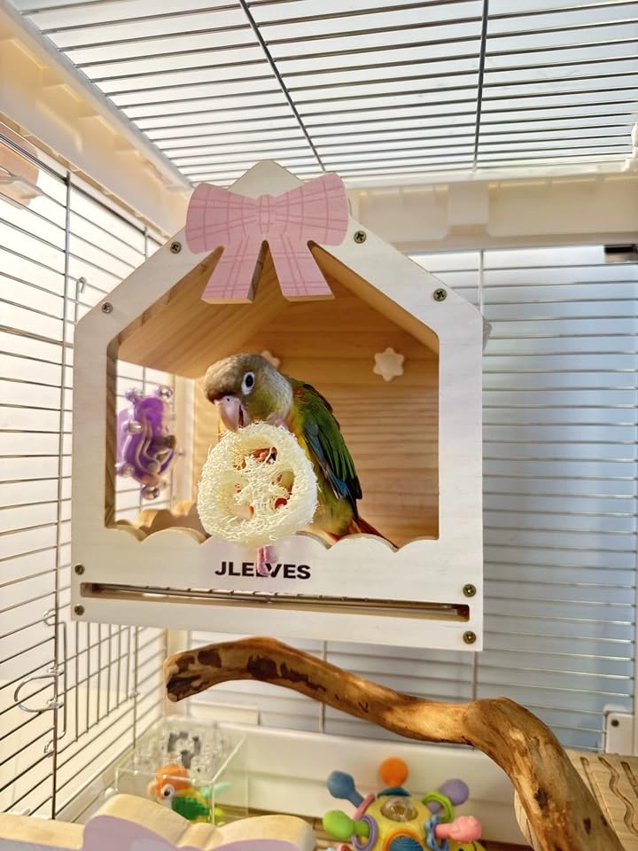 LittoPro détail coque de coco utilisable comme cachette de friandises