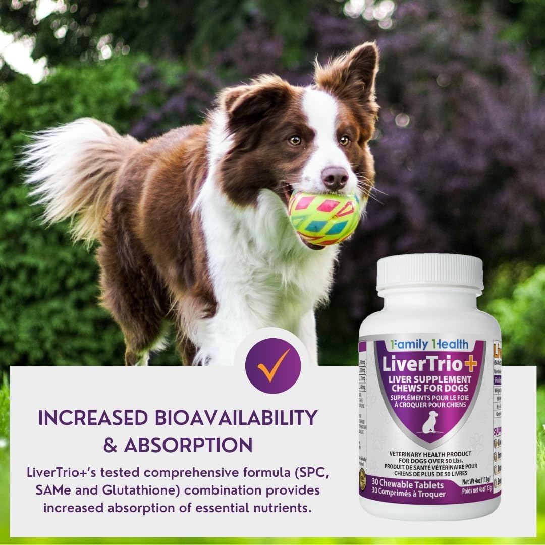 LiverTrio+ comparaison taille avec pièce montrant dosage adapté