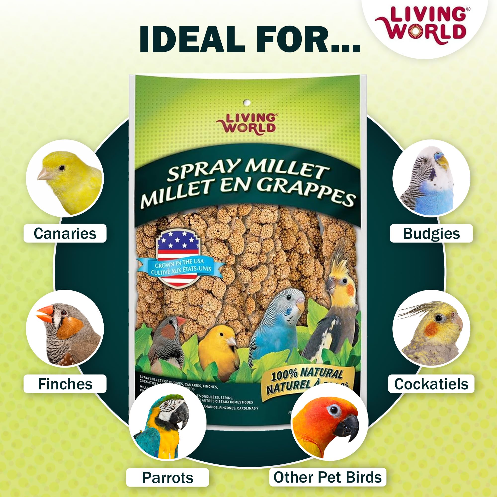 Living World spray millet accroché dans une cage pour divertissement
