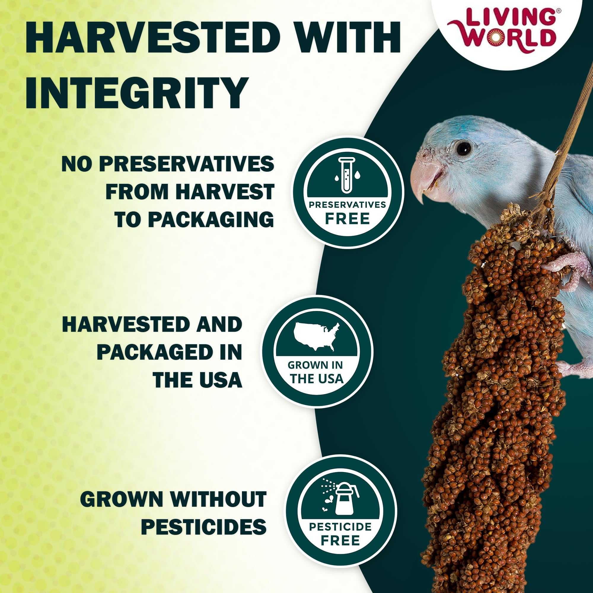Living World gros plan des grains offrant texture et appétence naturelle
