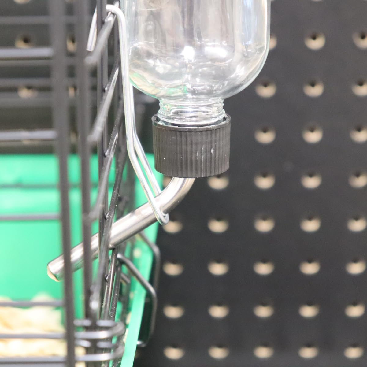 Lixit bouteille utilisée par plusieurs petits animaux pour hydratation partagée