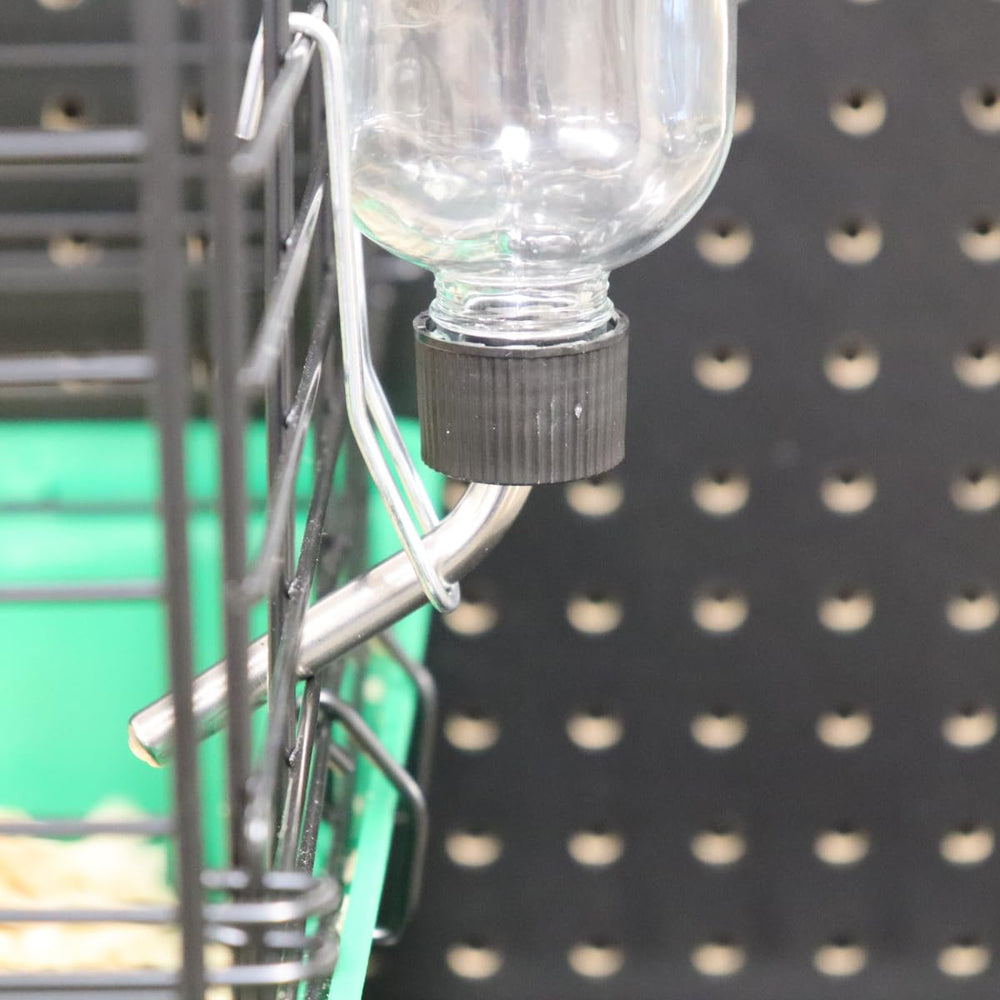 Lixit bouteille utilisée par plusieurs petits animaux pour hydratation partagée