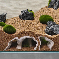 LIYAOLI face avant de la grotte montrant l'entrée et design esthétique