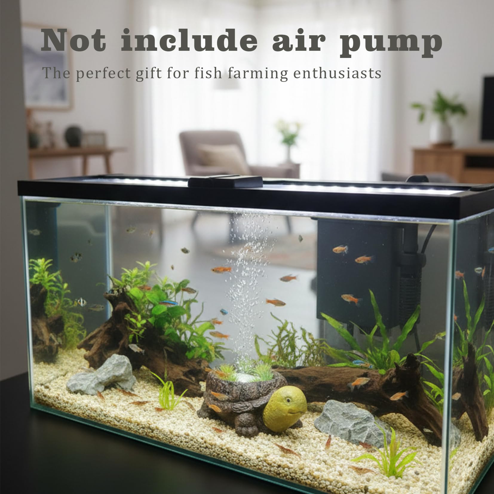 LIYAOLI tortue ambient dans aquarium mettant en valeur plantes et poissons