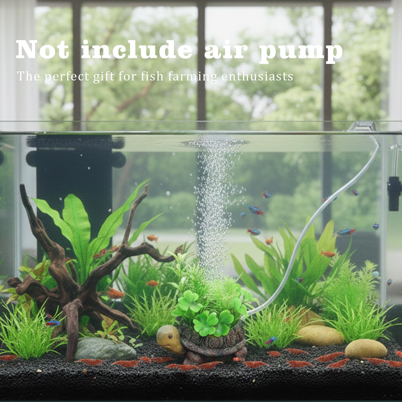 LIYAOLI tortue en décor aquatique lifestyle apportant mouvement et charme