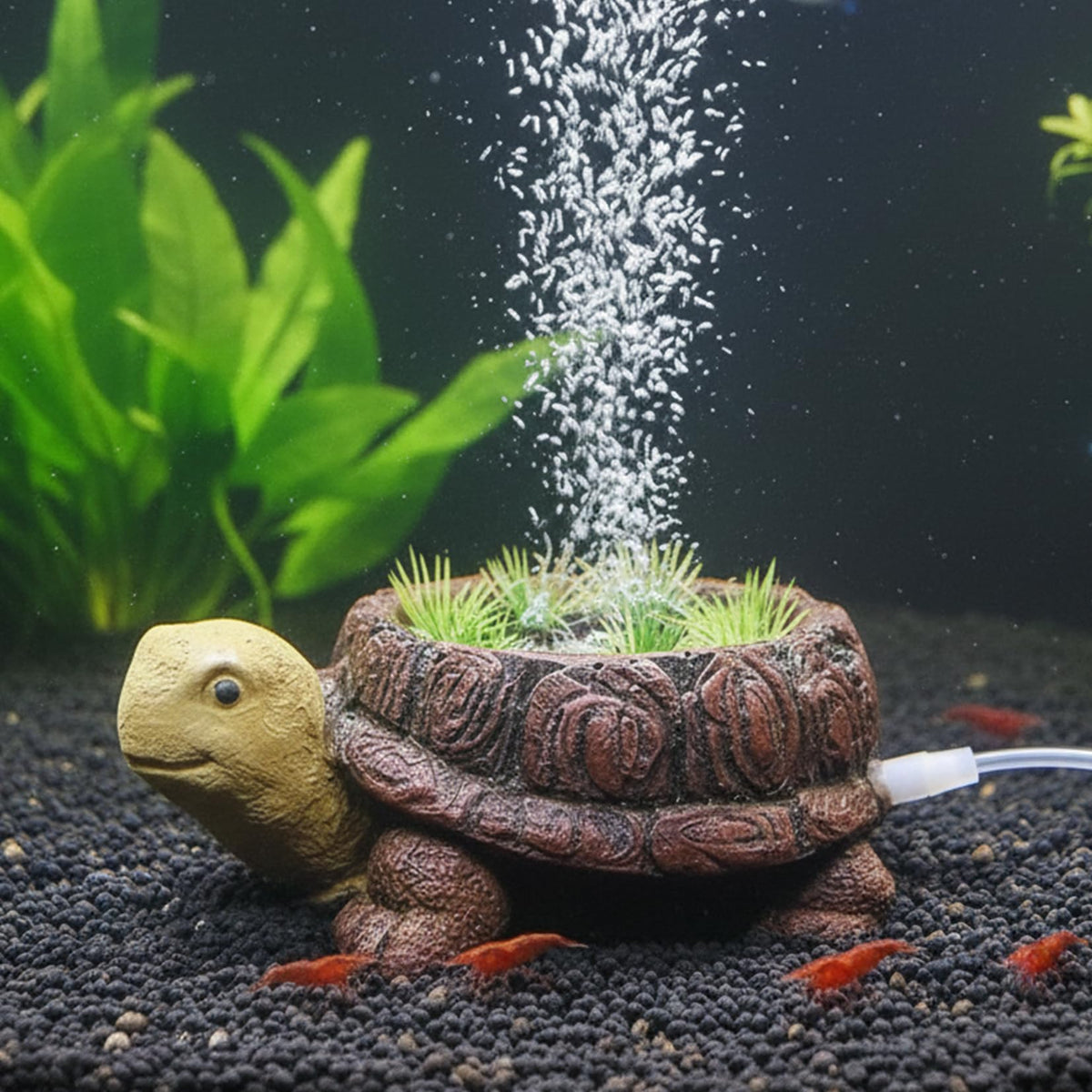 LIYAOLI tortue face avant montrant bulles et décor durable