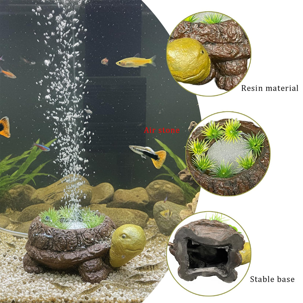 LIYAOLI tortue avec tuyau de 2 m illustrant installation rapide