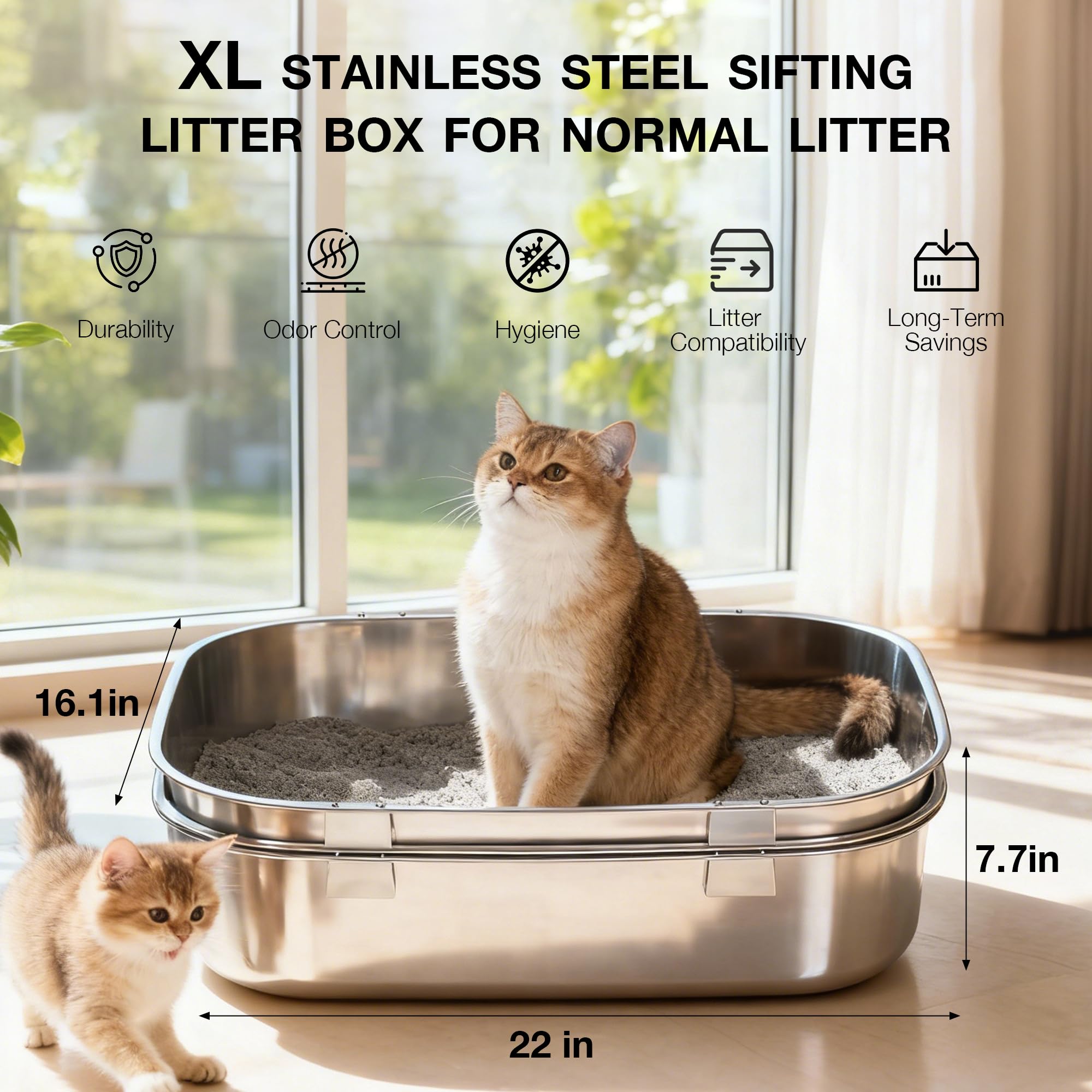 LLNHAEB comparaison taille avec chat pour évaluer espace disponible