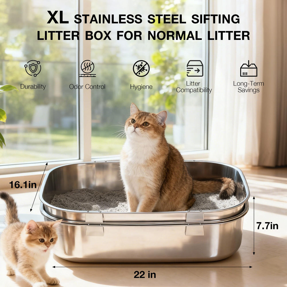LLNHAEB comparaison taille avec chat pour évaluer espace disponible
