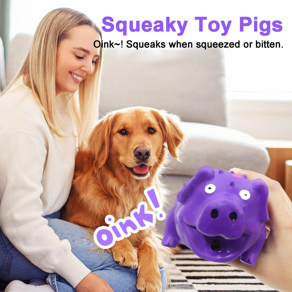 LLSPET cochon à côté d’un objet pour comparaison de taille utile