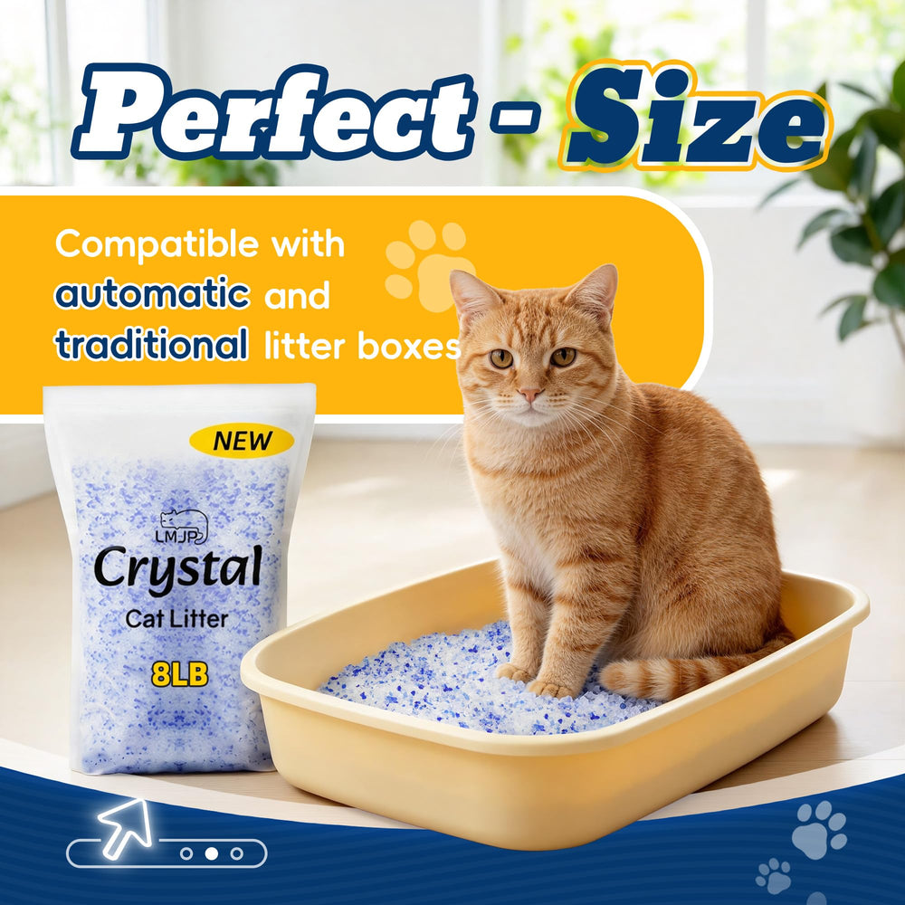 LMJP Crystal interaction humain et chat sans poussière bénéfique