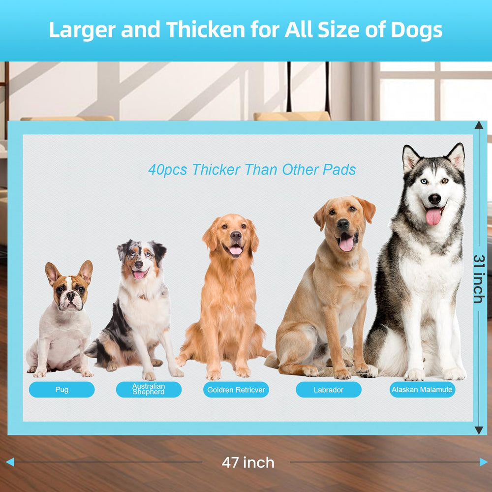 LNWJSRX comparaison de taille montrant couverture large pour grands chiens