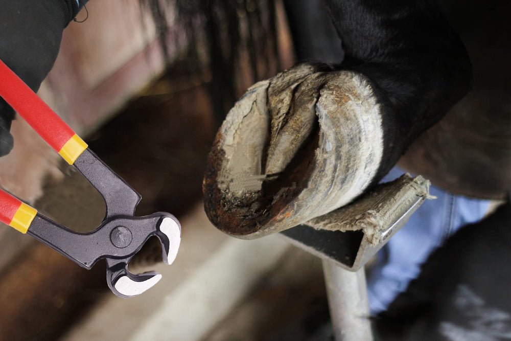 Loaged outils en usage sur une chèvre illustrant coupe précise et contrôle