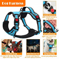 LOBEVE attache ceinture en usage pour sécurité en voiture
