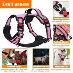 LOBEVE collier et laisse en détail avec coutures réfléchissantes pour sécurité