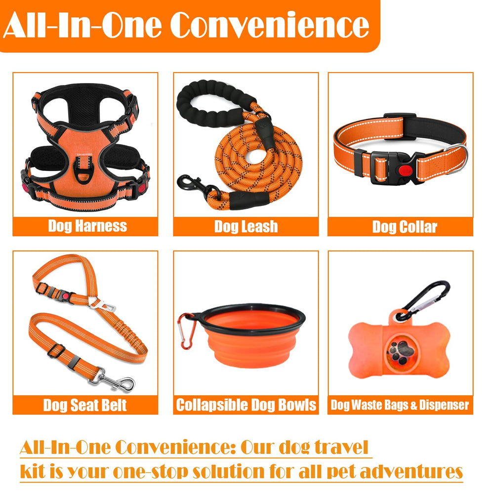 Lobeve gros plan du harnais en nylon durable offrant confort et longévité