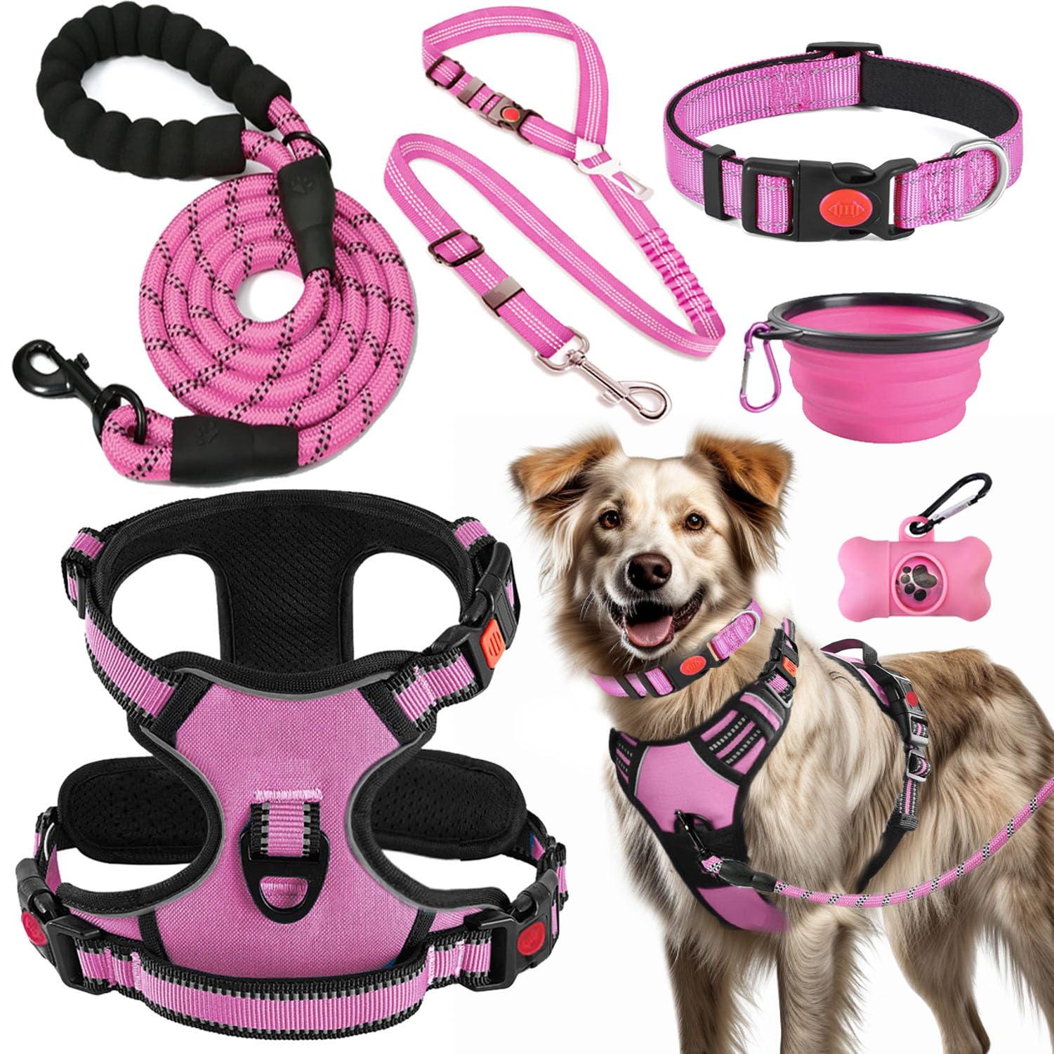 LOBEVE kit devant montrant harnais laisser collier et accessoires, gain de temps