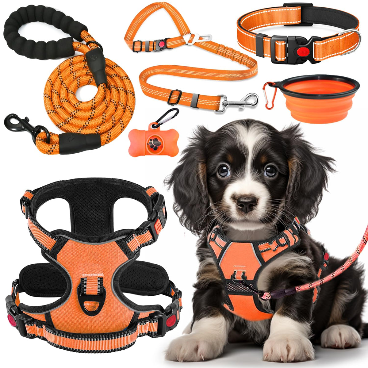 Lobeve kit face complet montrant harnais collier laisse et accessoires pour sorties