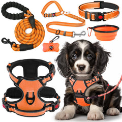 Lobeve kit face complet montrant harnais collier laisse et accessoires pour sorties
