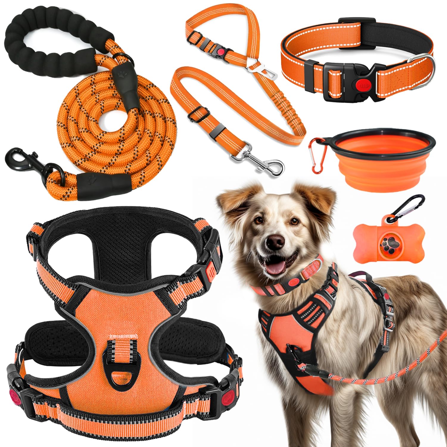 LOBEVE kit complet face visible pour promenades et voyages pratique