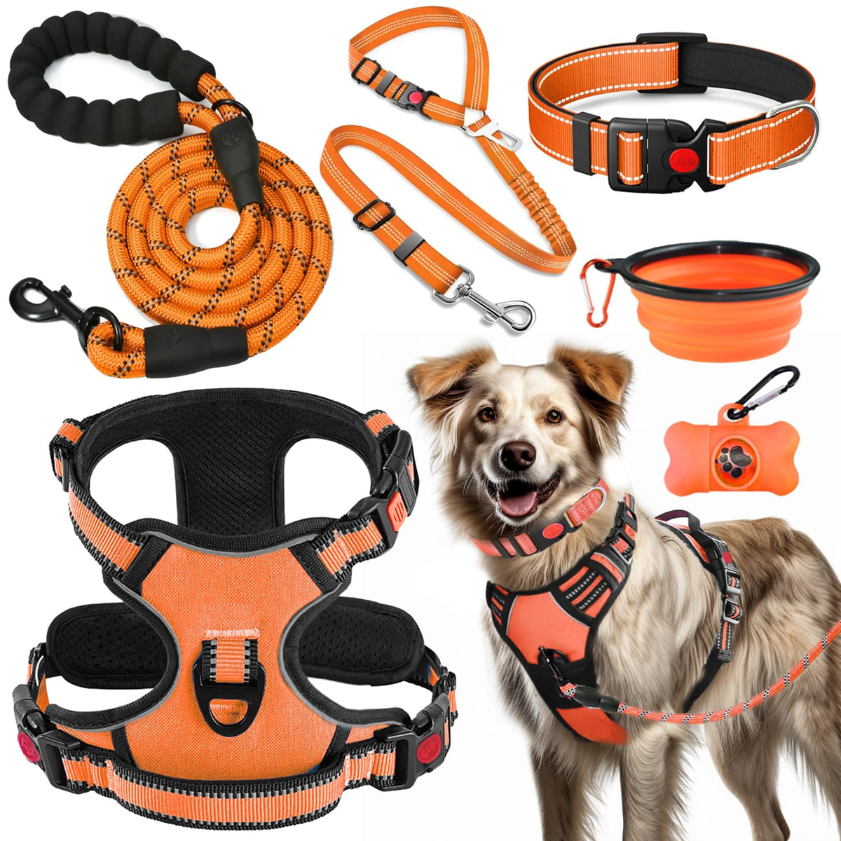 LOBEVE kit complet face visible pour promenades et voyages pratique