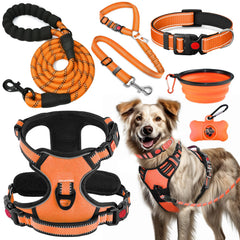 LOBEVE kit complet face visible pour promenades et voyages pratique