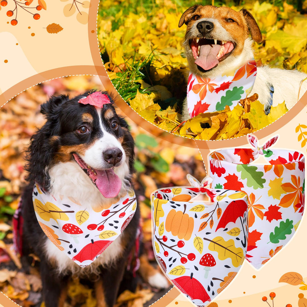 Locmeo mise en scène automne bandana ajoutant ambiance chaleureuse