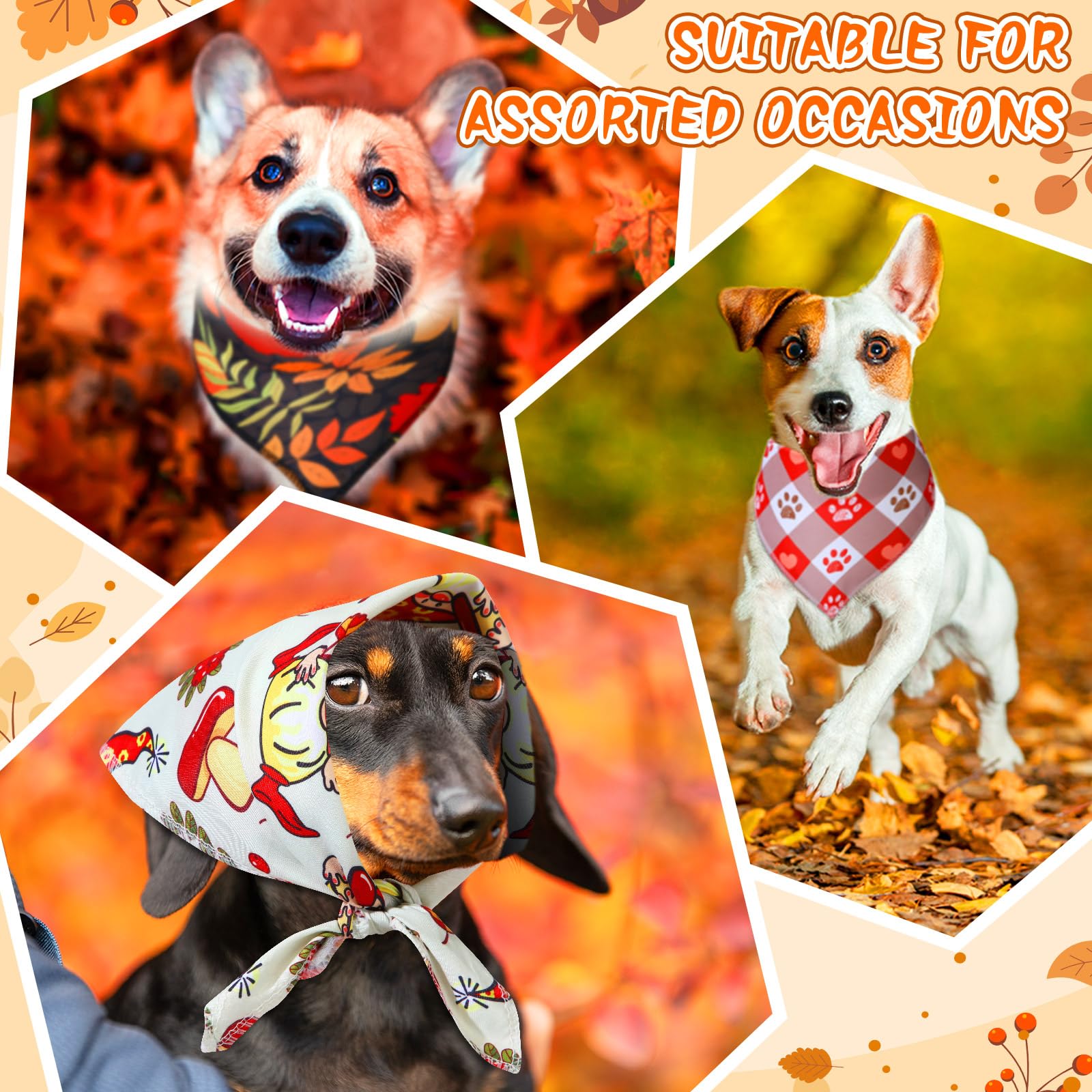Locmeo comparaison taille bandana illustrant ajustement pour petits chiens