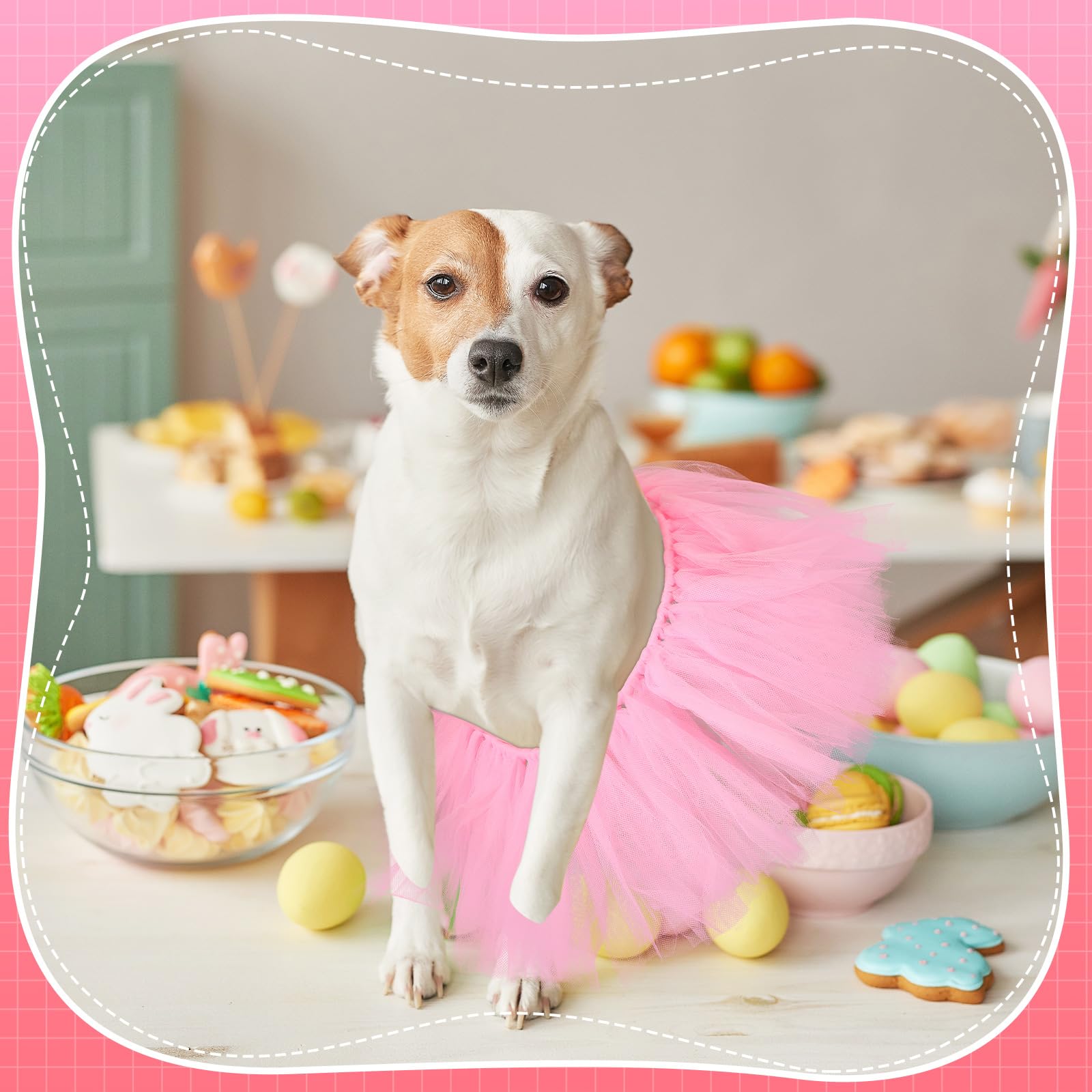 Locmeo chien portant tutu en balade ajoutant style festif