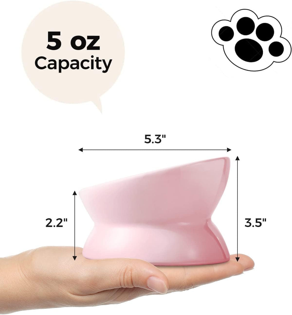 LoeJan comparaison taille à côté d'une tasse bénéfice dimension adaptée