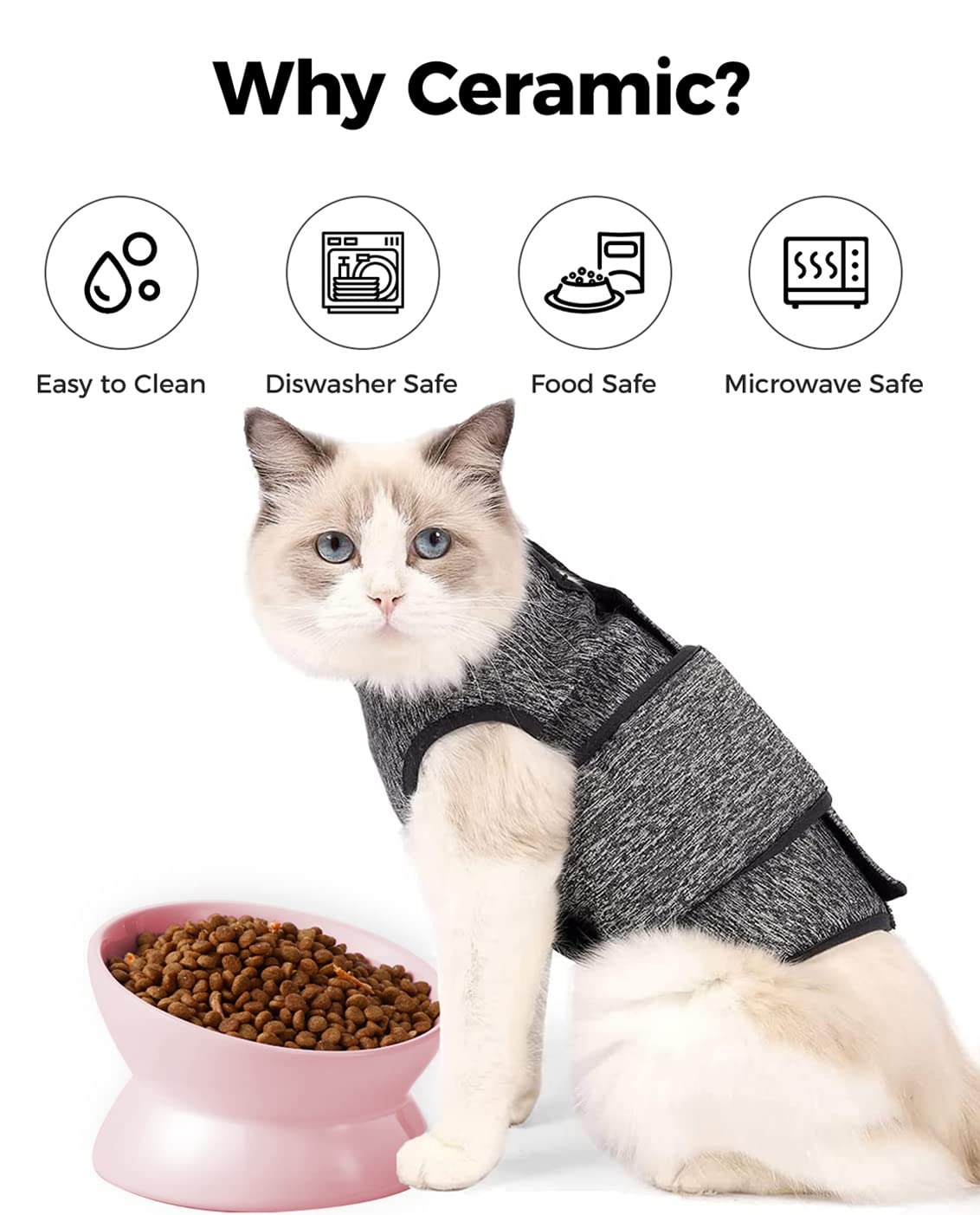 Chat mangeant dans la LoeJan montrant position de la tête et stabilité