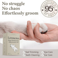 Loesuona détail mousqueton illustrant fixation robuste