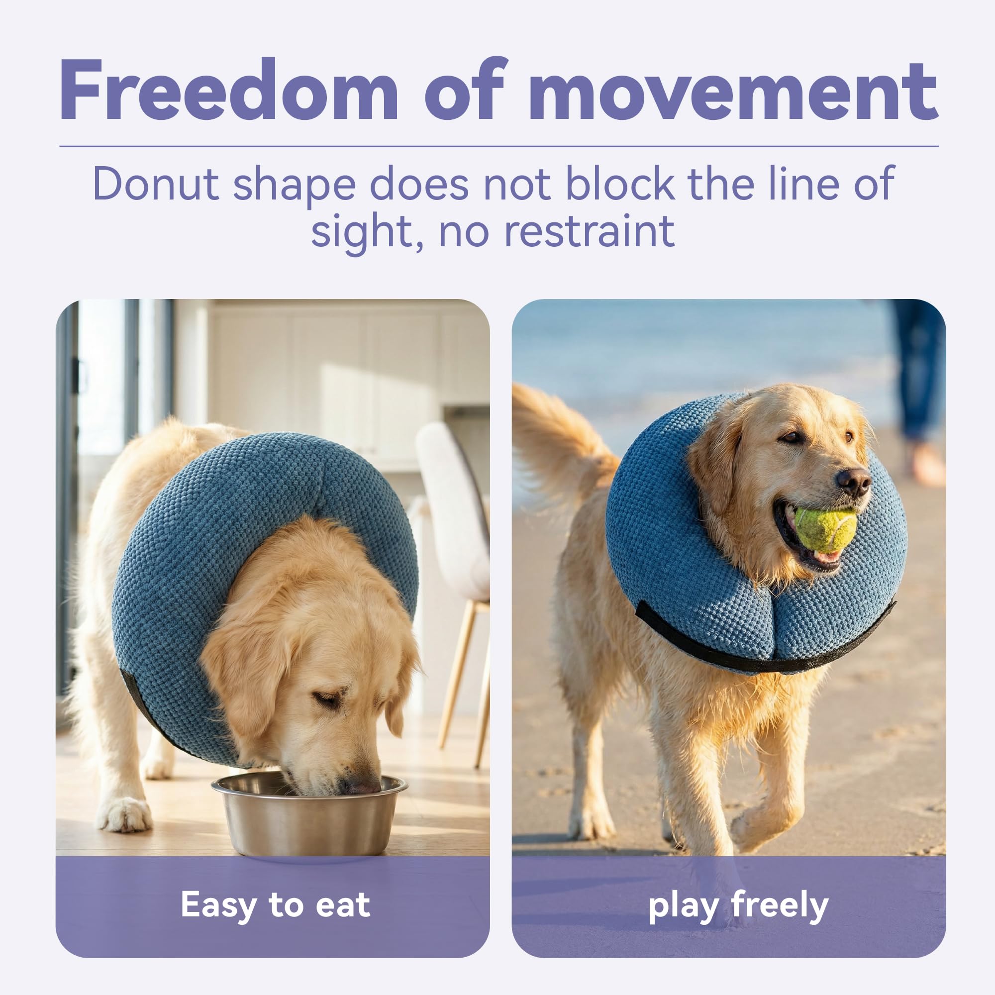 Loflaze collier sur chien moyen facilitant repas et déplacement serein