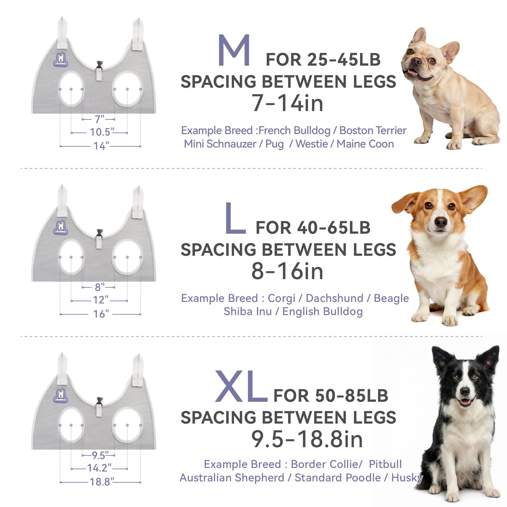 Loflaze comparaison taille animal et hamac pour choix adapté