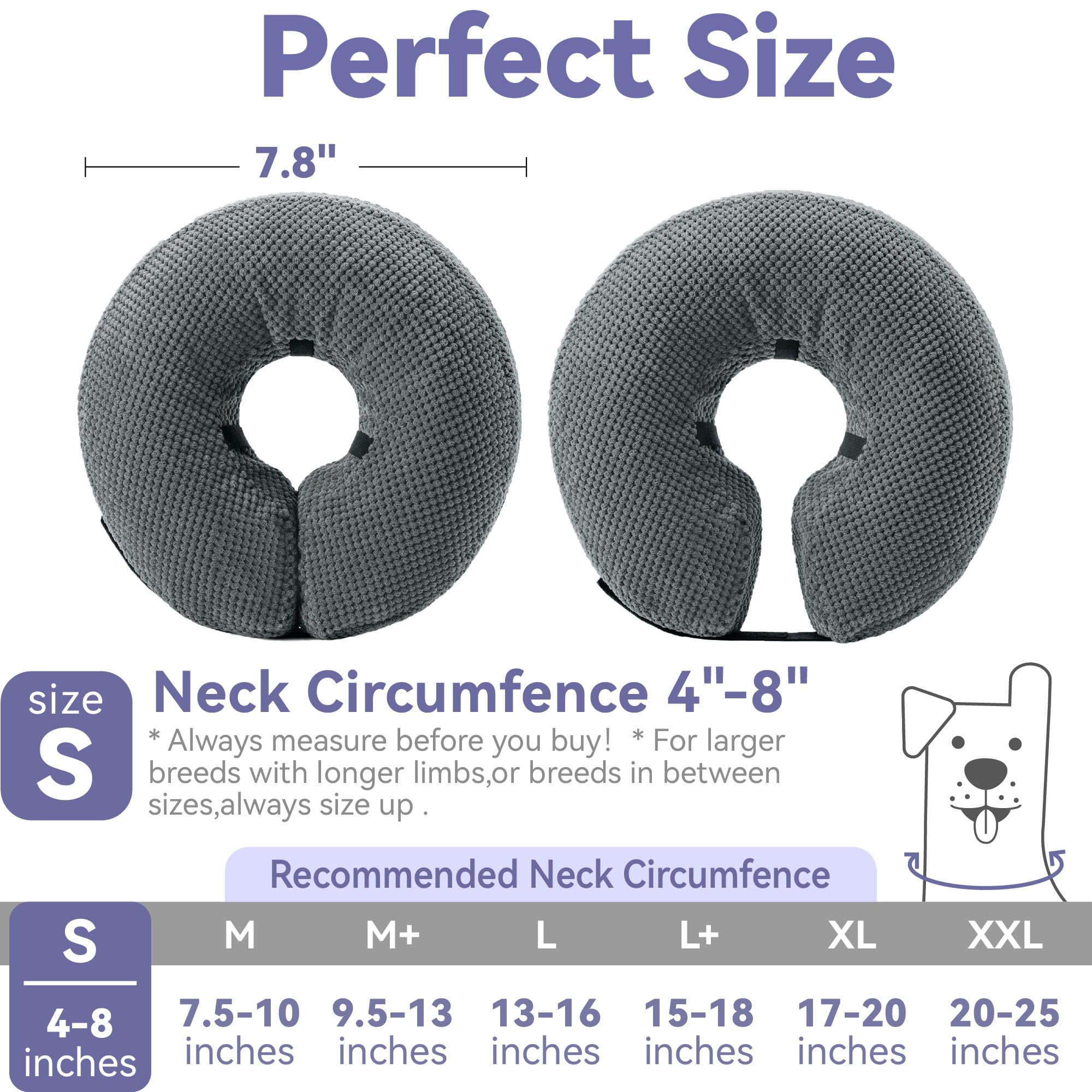 Loflaze comparaison taille avec collier courant pour ajustement sûr
