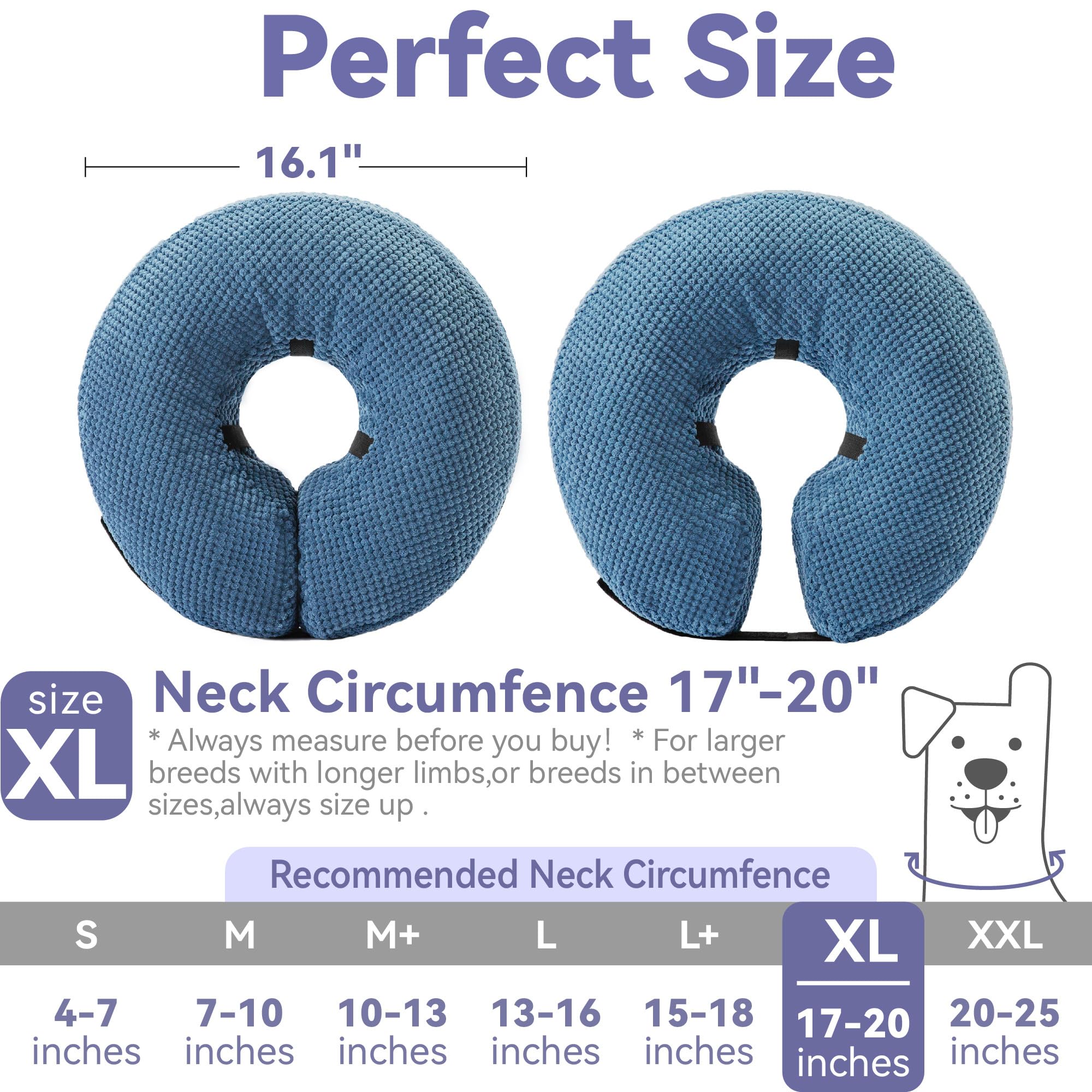 Loflaze comparaison taille XL sur chien illustrant couverture et échelle