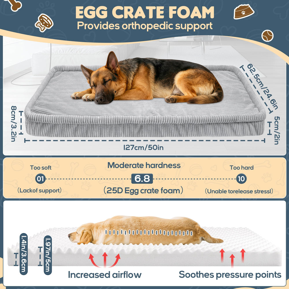 Loiion tapis posé sur banquette arrière montrant sécurité et espace pour chien