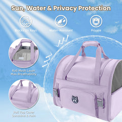 LOLLIMEOW chat installé confortablement dans le sac à dos en promenade