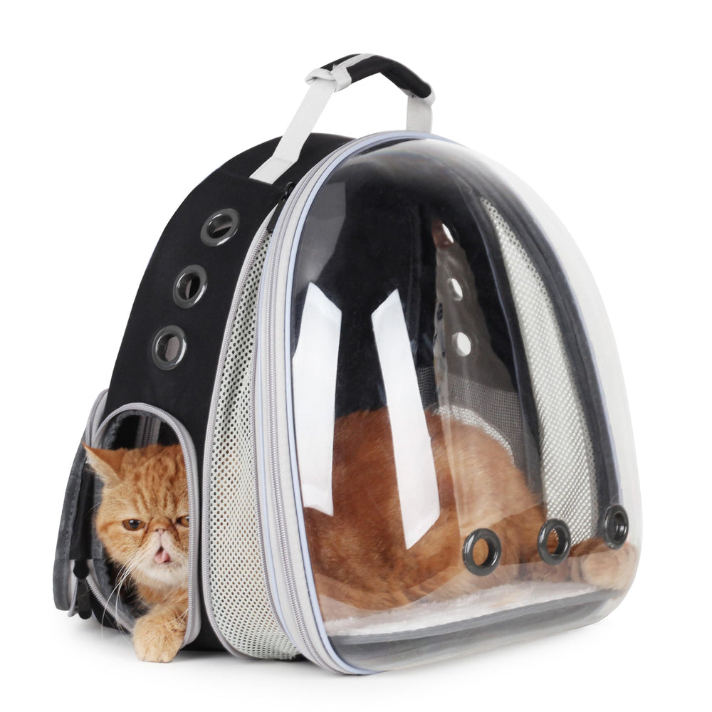 LOLLIMEOW vue avant du sac à dos bulle pour sécurité et visibilité