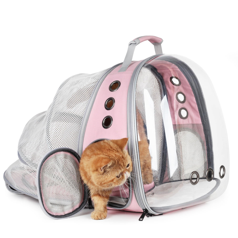 LOLLIMEOW face avant avec bulle montrant visibilité renforcée