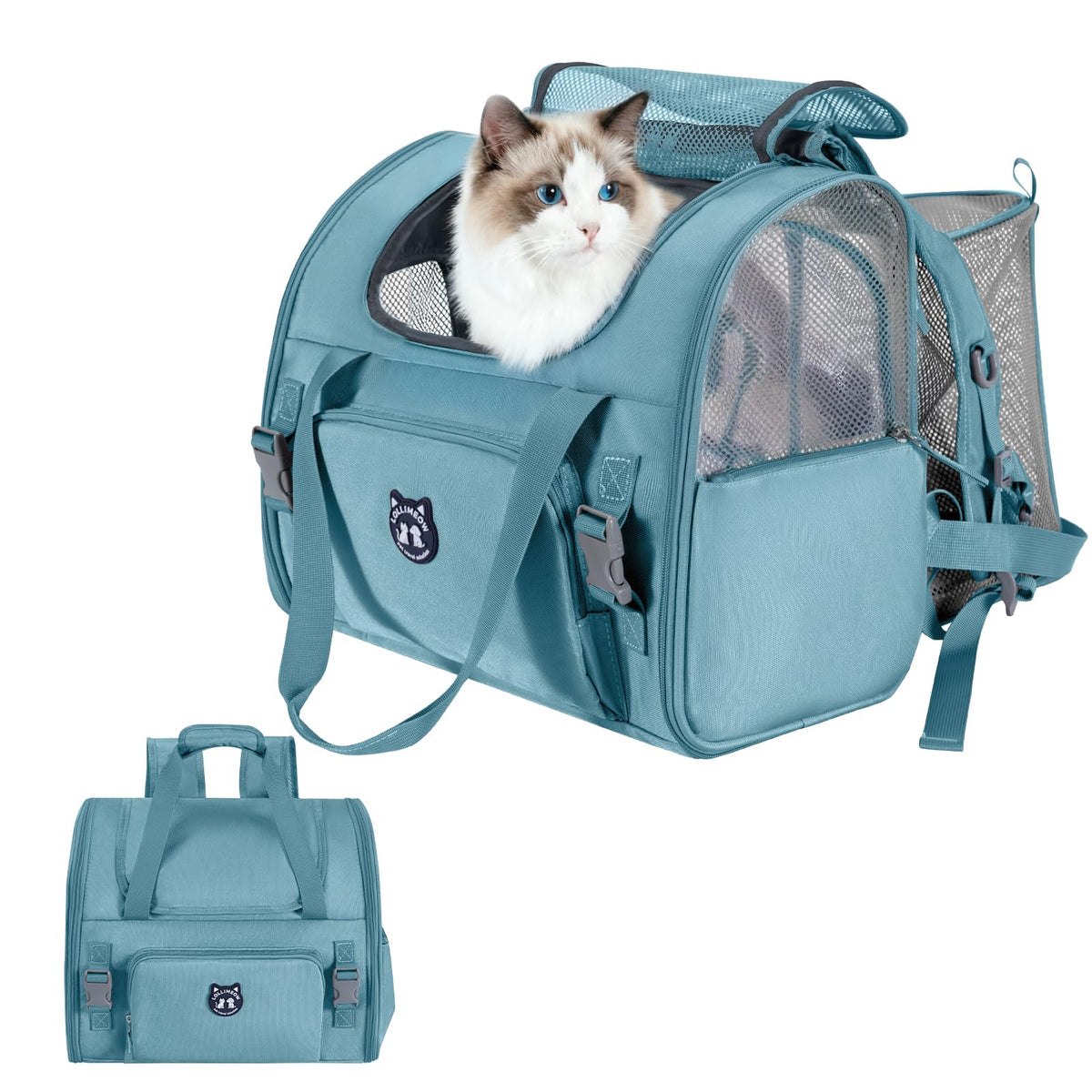LOLLIMEOW face avant compacte montrant ventilation et fermeture, facilite voyages