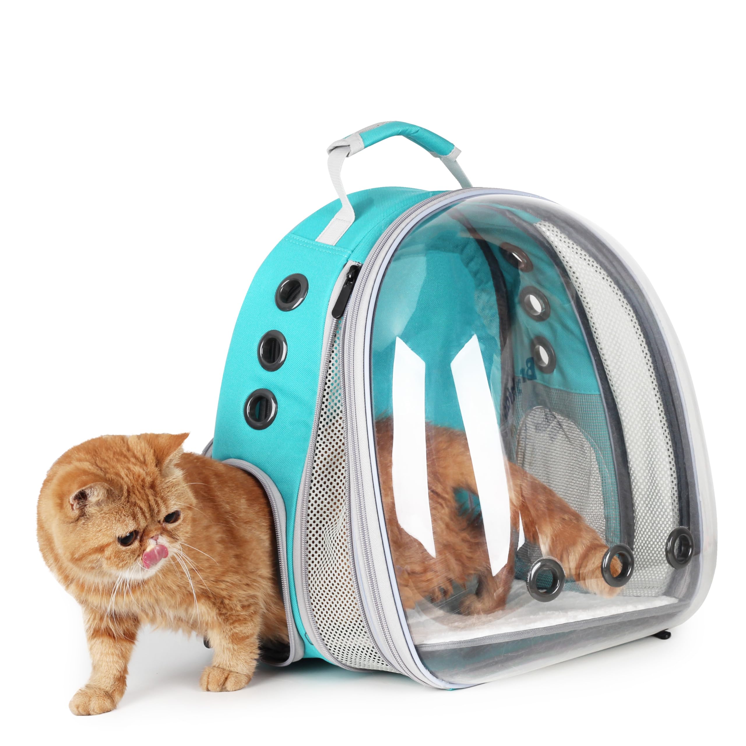 LOLLIMEOW sac à dos face avant montrant la bulle pour meilleure observation
