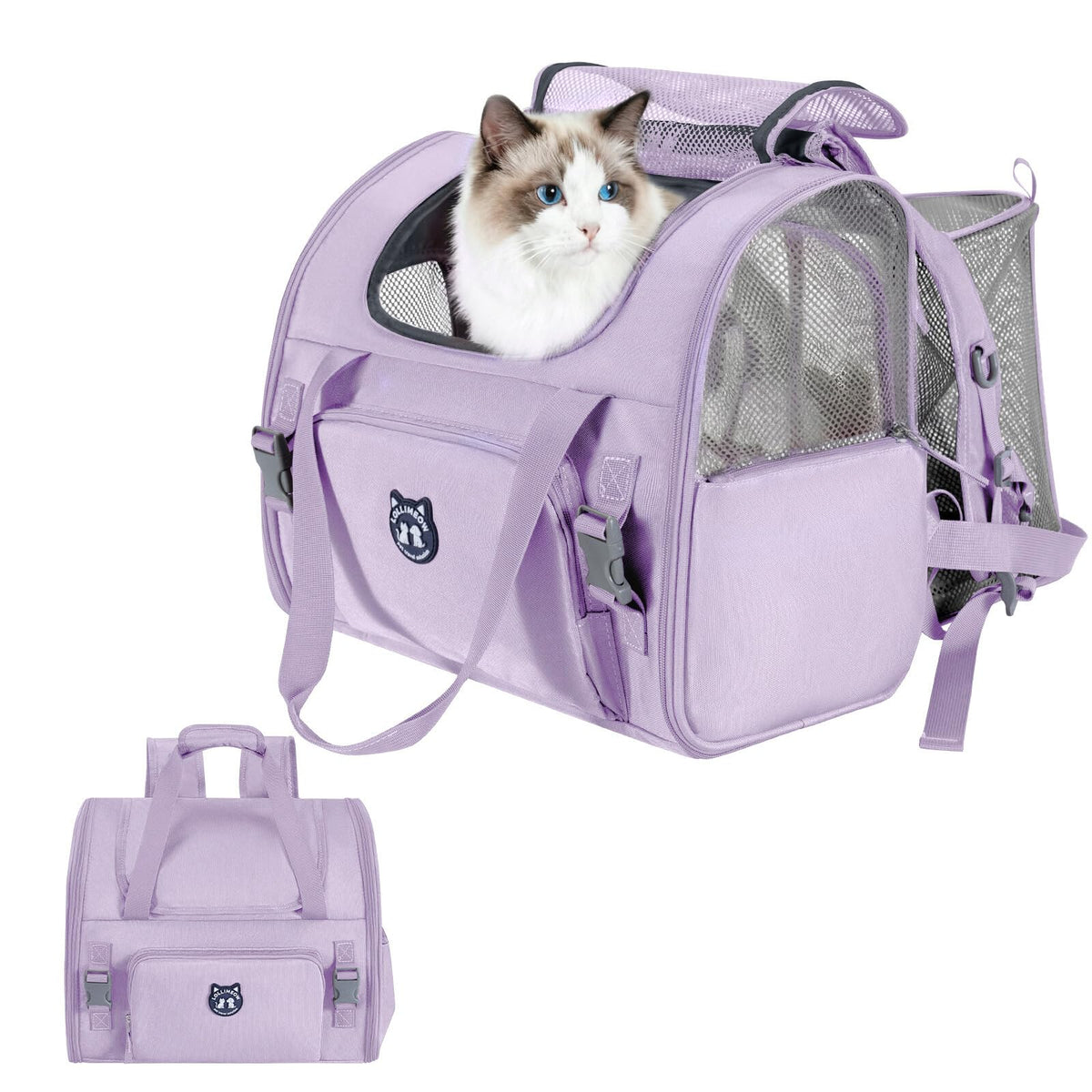 LOLLIMEOW vue avant du sac à dos montrant la fenêtre et la fermeture sécurisée