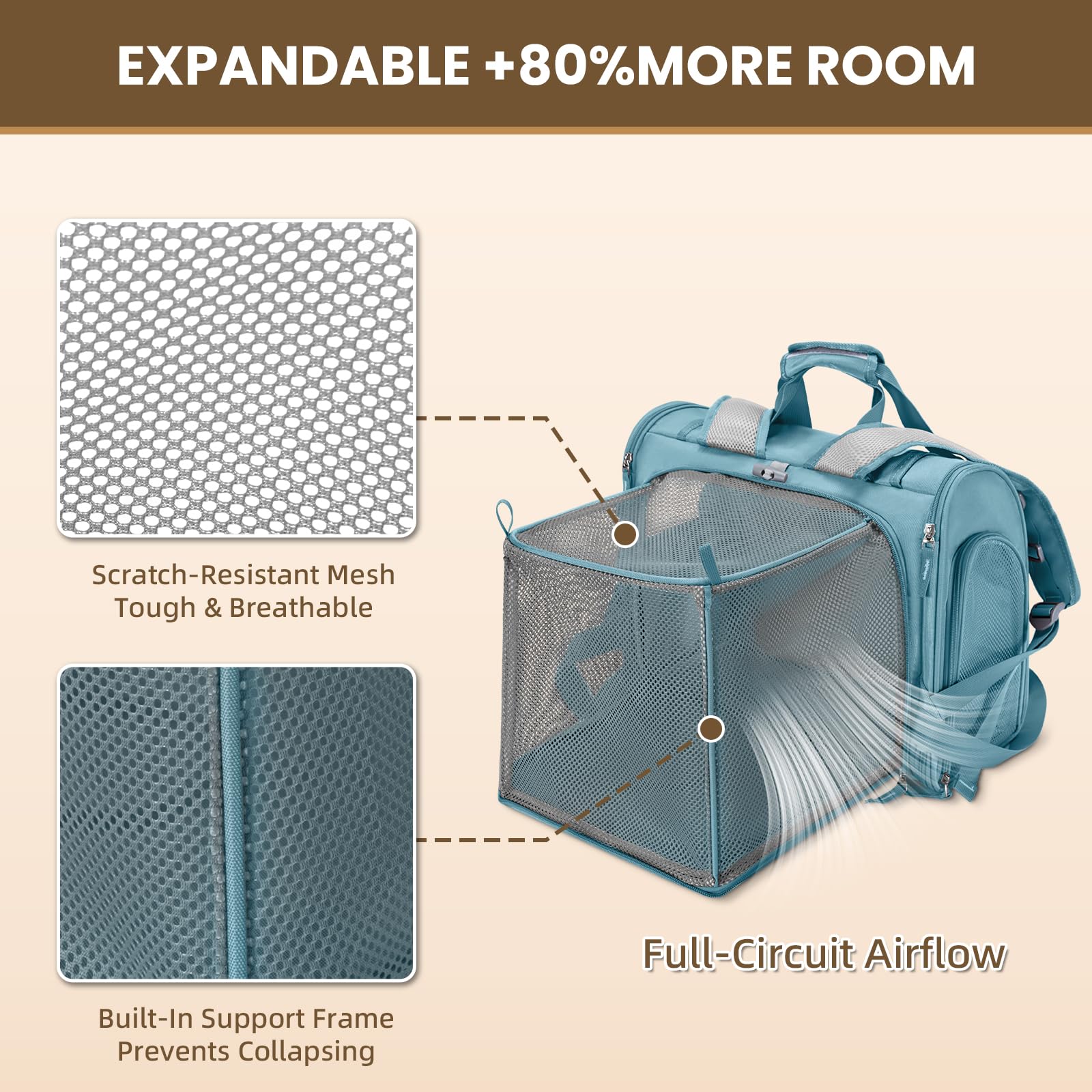 LOLLIMEOW fenêtre ouverte montrant animal curieux, favorise l'exploration