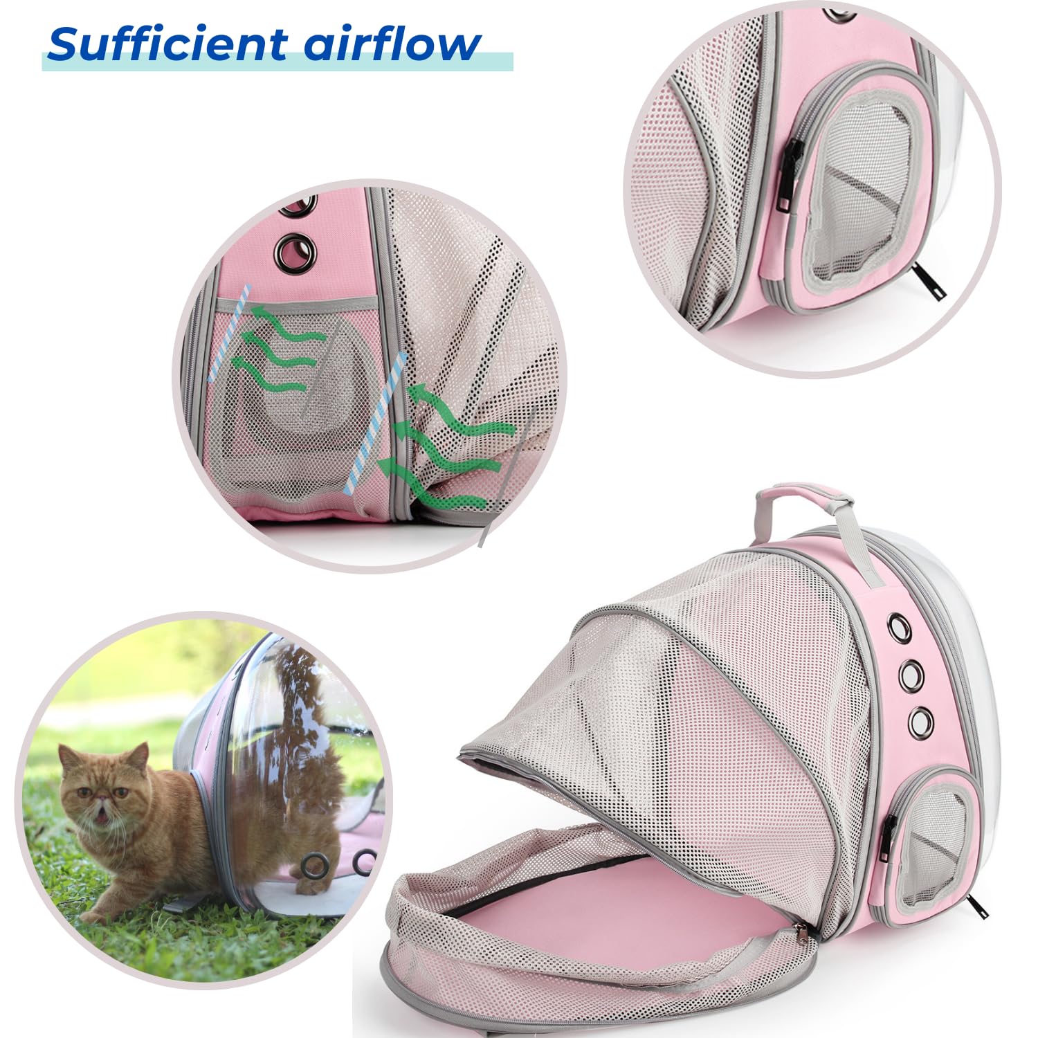 LOLLIMEOW gros plan bulle panoramique assurant observation sécurisée