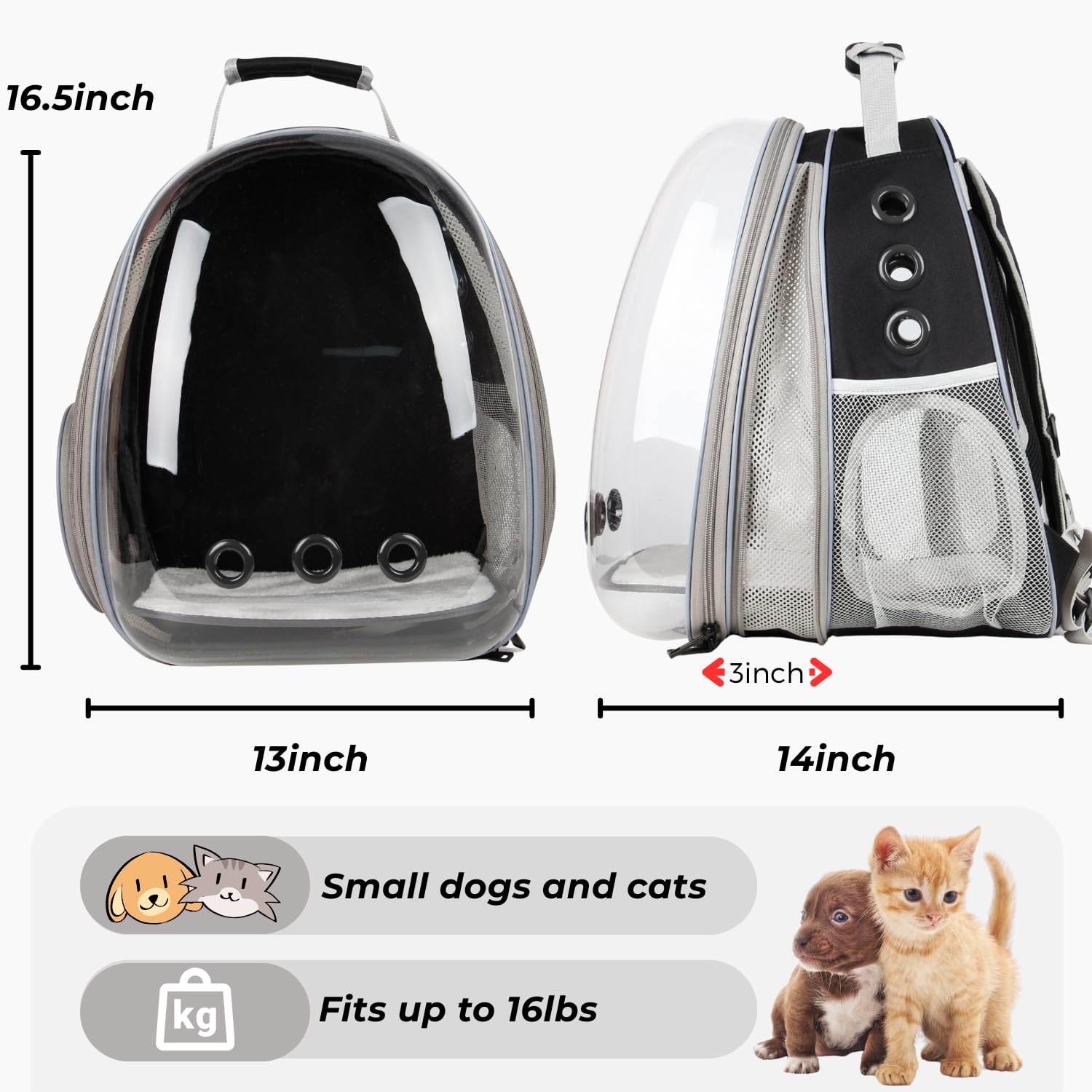 LOLLIMEOW intérieur avec coussinet assurant confort et stabilité