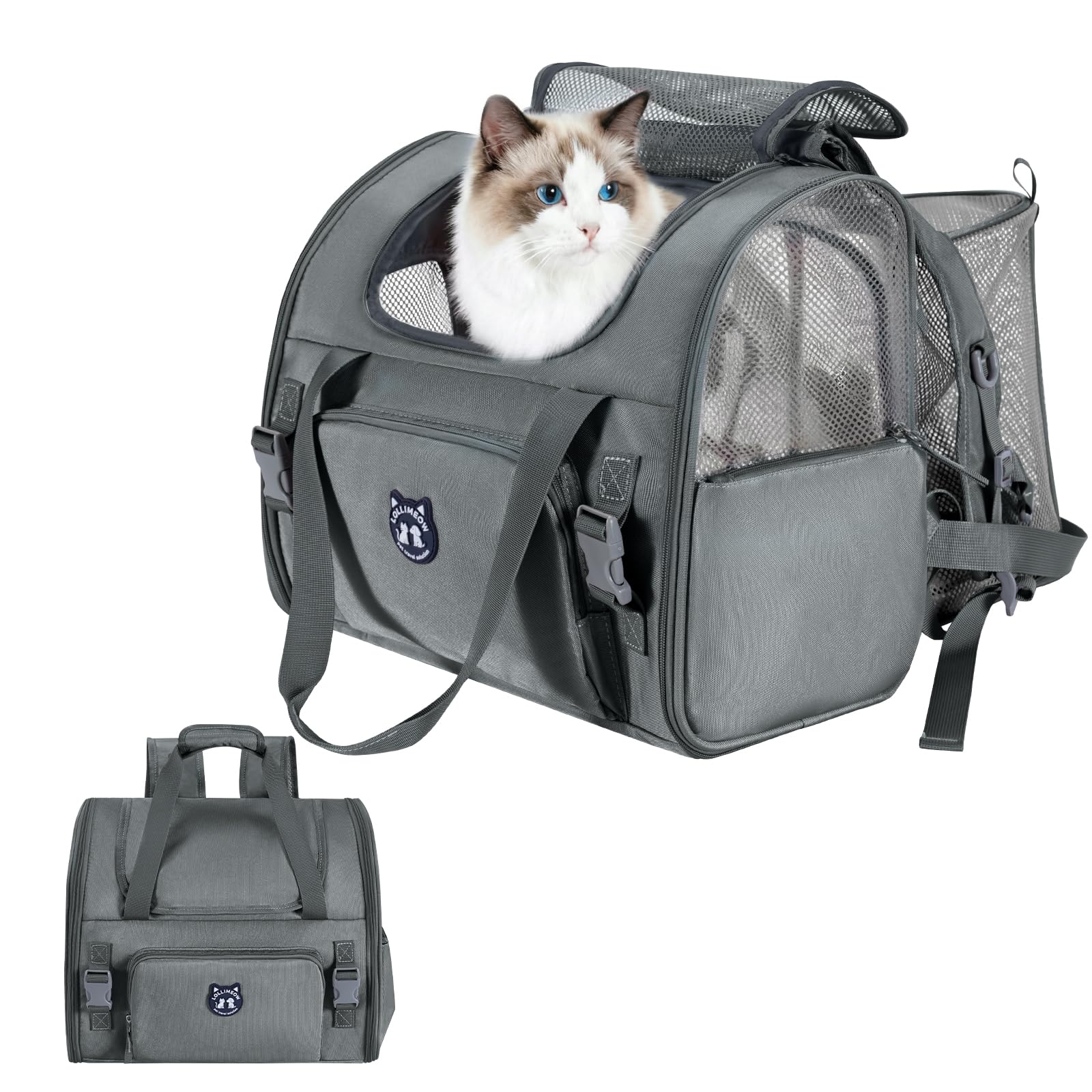 LOLLIMEOW vue face du sac à dos montrant design et fermeture, facilite le transport