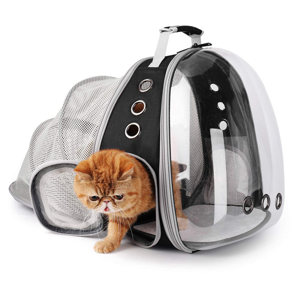 Lollimeow poches et rangements montrant organisation pour friandises et accessoires
