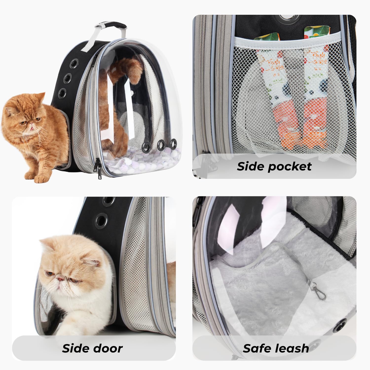 LOLLIMEOW chat dans le sac à dos en parc, rassurant et observateur